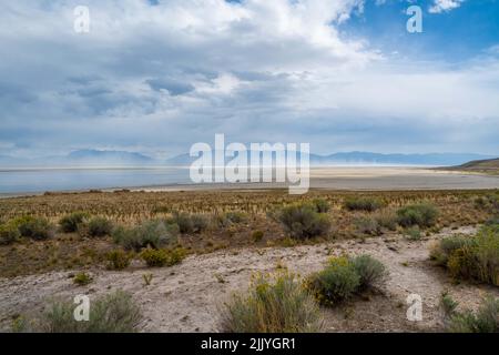 Vue sur la nature à Antelope Island SP, Utah Banque D'Images