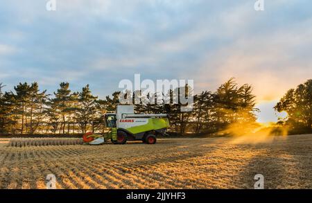 Ballinacurra, Cork, Irlande. 28th juillet 2022. L'entrepreneur Michael Holland récolte du blé d'hiver en fin de soirée sur la ferme d'Alan Navratil à Ballinacurra, Co. Cork, Irlande. - Crédit; David Creedon / Alamy Live News Banque D'Images