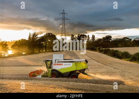 Ballinacurra, Cork, Irlande. 28th juillet 2022. L'entrepreneur Michael Holland récolte du blé d'hiver en fin de soirée sur la ferme d'Alan Navratil à Ballinacurra, Co. Cork, Irlande. - Crédit; David Creedon / Alamy Live News Banque D'Images