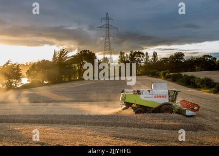 Ballinacurra, Cork, Irlande. 28th juillet 2022. L'entrepreneur Michael Holland récolte du blé d'hiver en fin de soirée sur la ferme d'Alan Navratil à Ballinacurra, Co. Cork, Irlande. - Crédit; David Creedon / Alamy Live News Banque D'Images
