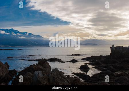 Un regard sur la vie en Nouvelle-Zélande : la côte sauvage de Kaikoura, Nouvelle-Zélande Banque D'Images