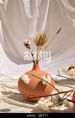 Vases et objets en faïence, couleurs pastel en terre cuite, avec encore la vie comme la végétation et le coton Banque D'Images