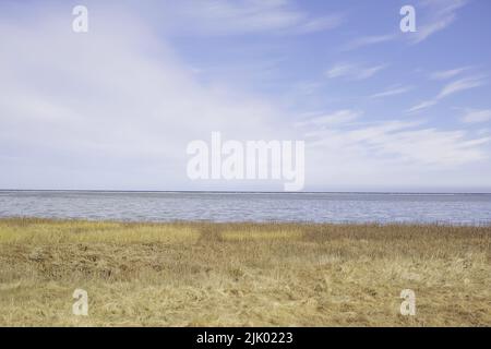 Paysage de mer, de lac ou de lagon sur fond de ciel avec espace de copie. Golfe avec roseaux et herbe sauvage poussant sur la côte vide en Norvège. Paisible Banque D'Images