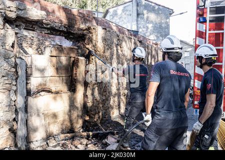 Un pompier frappe un pilier en bois charré. Un incendie a détruit une grande partie des Juniper qui relient Santo Domingo de Silos, Santibáñez del Val et Quintanilla del Coco, dans la province de Burgos. Banque D'Images