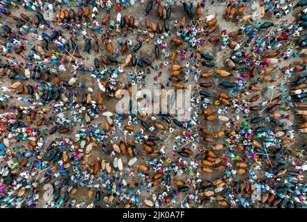 Marché du bétail au Bangladesh. EID ul Adha. Animaux sacrificiels. Marché de la vache Banque D'Images