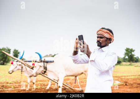 Joyeux fermier souriant utilisant le téléphone mobile dans les terres agricoles dans l'élevage de bétail de front - concept de la technologie, l'agriculture et le développement Banque D'Images
