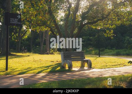 Une belle photo de banc sous un grand arbre dans un beau parc Banque D'Images