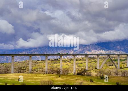 train à grande vitesse, passe au-dessus d'un grand viaduc au-dessus du champ de printemps vert. Madrid. Espagne. Banque D'Images