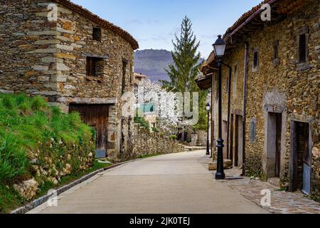 Belle rue étroite de la vieille ville avec des maisons en pierre et des arbres fleuris. La Hiruela Madrid. Espagne, Banque D'Images