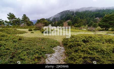 Paysage vert de hautes montagnes avec brouillard au sommet et végétation verte au printemps. Canencia Madrid. Banque D'Images