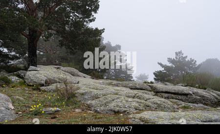 Paysage brumeux dans les hautes montagnes en journée nuageux et avec un environnement froid. Canencia Madrid. Banque D'Images