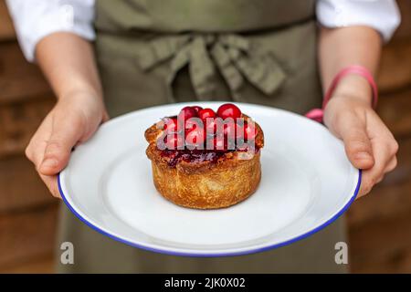 Tarte à la dinde aux canneberges Banque D'Images