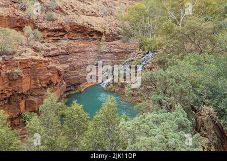 Les gens apprécient la baignade dans la magnifique gorge de Dales, le parc national de Karijini, en Australie occidentale Banque D'Images