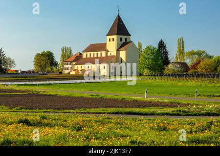 Église Saint-Georg, Oberzell, site classé au patrimoine mondial de l'UNESCO, île de Reichenau, lac de Constance, Bade-Wurtemberg, Allemagne, Europe Banque D'Images