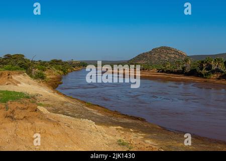 Rivière Ewaso ng'iro traversant la réserve de gibier de Shaba, parc national de Samburu, Kenya Banque D'Images