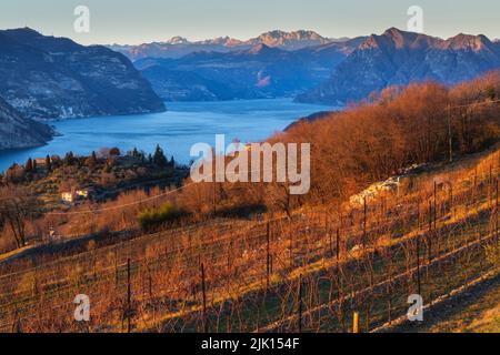 Automne à Franciacorta et lac d'Iseo au coucher du soleil, province de Brescia, quartier Lombardie, Italie, Europe Banque D'Images