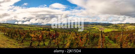 Collines et vignobles d'Oltre po Pavese en automne, Apennines du Nord, Pavia, Lombardie, Italie, Europe Banque D'Images