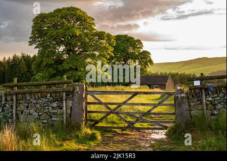 Chemin clôturé avec ancienne grange dans le Peak District, Wildboarclough, Cheshire, Angleterre, Royaume-Uni, Europe Banque D'Images