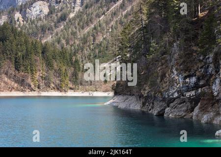 Côte rocheuse abrupte du lac alpin Tovel, recouvert de pins et de sapins centenaires, ville d'Anaunia, Trentin, Italie Banque D'Images