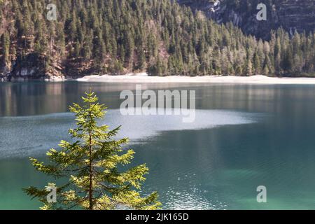 Forêts denses, coins intimes, petites plages de rochers blancs et incroyables reflets de montagne sur le lac Tovel, ville d'Anaunia, Trentin, Italie Banque D'Images