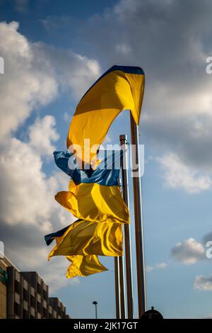 Un cliché vertical des drapeaux ukrainiens sur les mâts de drapeaux avec le ciel bleu nuageux en arrière-plan Banque D'Images