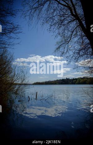 Vue sur Alton Water Resevoir, Suffolk, Angleterre, Royaume-Uni Banque D'Images