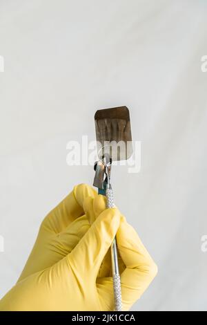 le dentiste tenant une radiographie dentaire découpe isolée sur fond blanc Banque D'Images