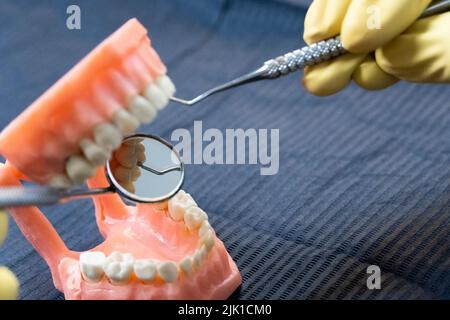 Le dentiste tient des prothèses dentaires entre ses mains. Banque D'Images