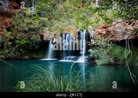 Magnifique piscine à fougères et chute d'eau à Dales gorge, dans le parc national de Karijini, Australie occidentale Banque D'Images