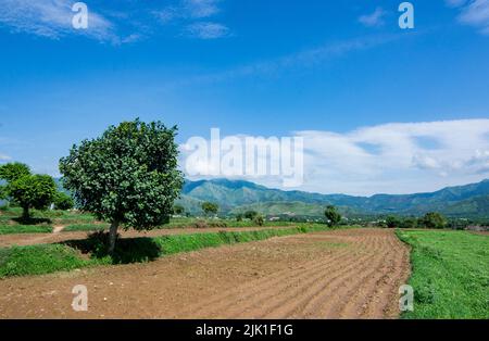 Vue sur la campagne, magnifique paysage avec arbre isolé. Banque D'Images