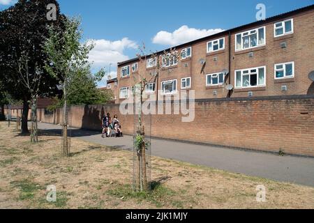 Slough, Berkshire, Royaume-Uni. 29th juillet 2022. Le conseil municipal de Slough appelle les résidents à l'aide pour arroser les arbres dans leur communauté locale, car certains arbres commencent à mourir après la canicule et le manque de pluie. Crédit : Maureen McLean/Alay Live News Banque D'Images