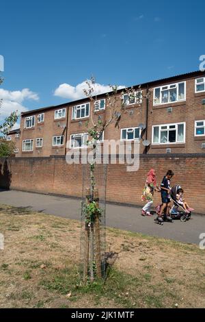 Slough, Berkshire, Royaume-Uni. 29th juillet 2022. Le conseil municipal de Slough appelle les résidents à l'aide pour arroser les arbres dans leur communauté locale, car certains arbres commencent à mourir après la canicule et le manque de pluie. Crédit : Maureen McLean/Alay Live News Banque D'Images