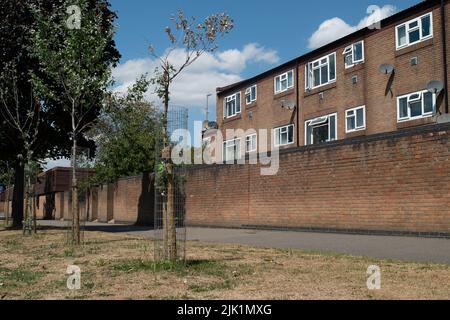 Slough, Berkshire, Royaume-Uni. 29th juillet 2022. Le conseil municipal de Slough appelle les résidents à l'aide pour arroser les arbres dans leur communauté locale, car certains arbres commencent à mourir après la canicule et le manque de pluie. Crédit : Maureen McLean/Alay Live News Banque D'Images