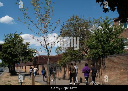 Slough, Berkshire, Royaume-Uni. 29th juillet 2022. Le conseil municipal de Slough appelle les résidents à l'aide pour arroser les arbres dans leur communauté locale, car certains arbres commencent à mourir après la canicule et le manque de pluie. Crédit : Maureen McLean/Alay Live News Banque D'Images