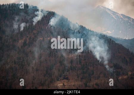 Wildfire lutte contre les incendies en forêt avec un hélicoptère transportant un seau d'eau Banque D'Images