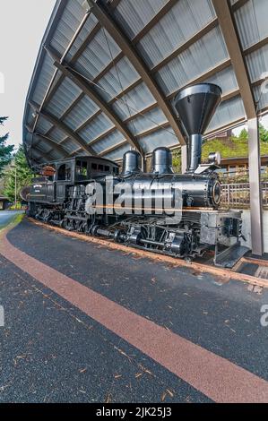 Exposition de trains au World Forestry Centre de Washington Park à Portland, Oregon. Banque D'Images