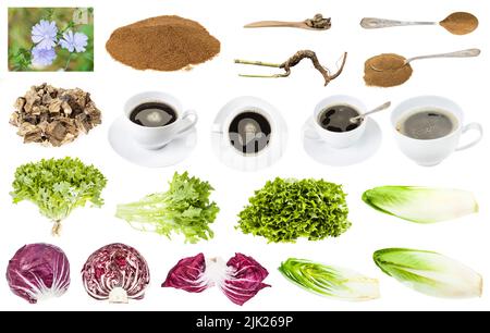 ensemble de divers aliments crus et boissons provenant de plantes d'endive et de chicorée isolées sur fond blanc Banque D'Images