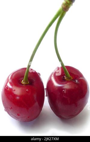 Cerises douces, humides, à tiges reliées par une goutte d'eau Banque D'Images