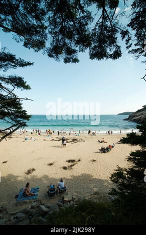 Soirée d'été à Sand Beach dans le parc national d'Acadia, Maine, États-Unis. Sand Beach, à 11 km au sud de la célèbre station balnéaire de Bar Harbor, Maine. La petite plage se trouve sur la rive est de l'île Mount Desert, dans le parc national Acadia, sur la côte nord-est de l'Atlantique. Banque D'Images