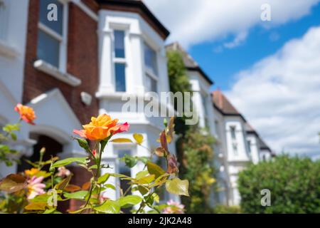 Rue typique de maisons britanniques à Fulham, sud-ouest de Londres Banque D'Images