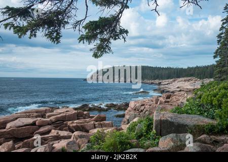 Vue vers Otter Cliffs et Otter point depuis le sentier côtier le long de Park Loop Road dans le parc national d'Acadia, Mount Desert Island, Maine, États-Unis Banque D'Images