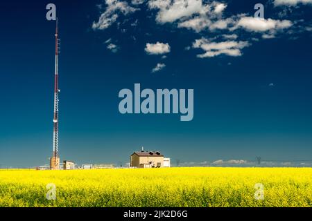 Grande antenne de communication fournissant l'Internet rural avec une station de pompe à turbine à gaz sur un champ de canola jaune en fleur dans le comté de Rocky View Alberta ca Banque D'Images