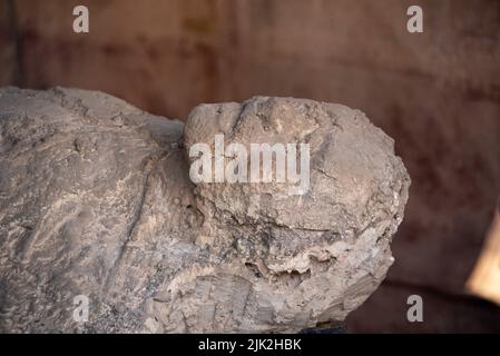 Les habitants de Pompeiian ont pétrifié dans leur dernière situation de vie, le sud de l'Italie Banque D'Images