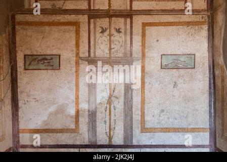 Des fresques anciennes pittoresques dans une chambre d'une villa de Pompeiian, dans le sud de l'Italie Banque D'Images