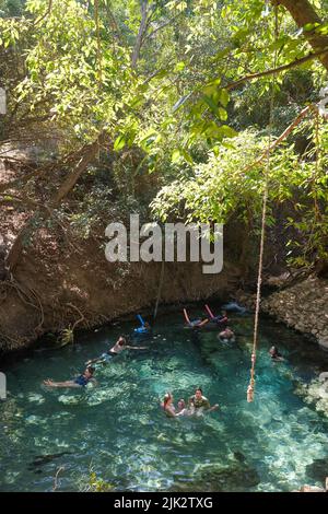 Katherine Hot Springs à Katherine, territoire du Nord Australie Banque D'Images