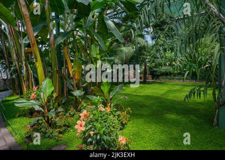 Palm House, Wilhelma, jardin zoologique et botanique, Stuttgart, Bade-Wurtemberg, Allemagne, Europe Banque D'Images