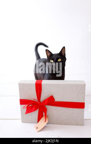 chat noir de noël avec cadeau de noël. Banque D'Images