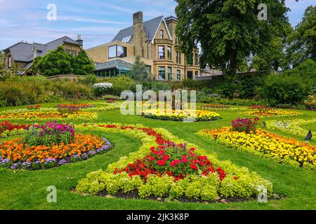 Les jardins botaniques, à Sheffield, dans le Yorkshire du Sud, Angleterre, Royaume-Uni Banque D'Images