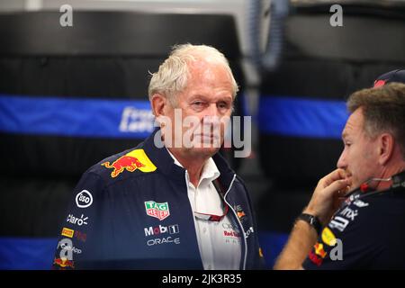 Helmut Marko ancien pilote de course professionnel et conseiller actuel des équipes de Formule 1 de Red Bull GmbH, et responsable du programme de développement des pilotes de Red Bull pendant le GP hongrois, 28-31 juillet 2022 à Hungaroring, championnat du monde de Formule 1 2022. Banque D'Images