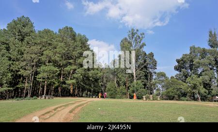 Paysages magnifiques d'Ooty. Meilleures images de fond d'écran Banque D'Images